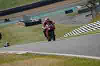 brands-hatch-photographs;brands-no-limits-trackday;cadwell-trackday-photographs;enduro-digital-images;event-digital-images;eventdigitalimages;no-limits-trackdays;peter-wileman-photography;racing-digital-images;trackday-digital-images;trackday-photos
